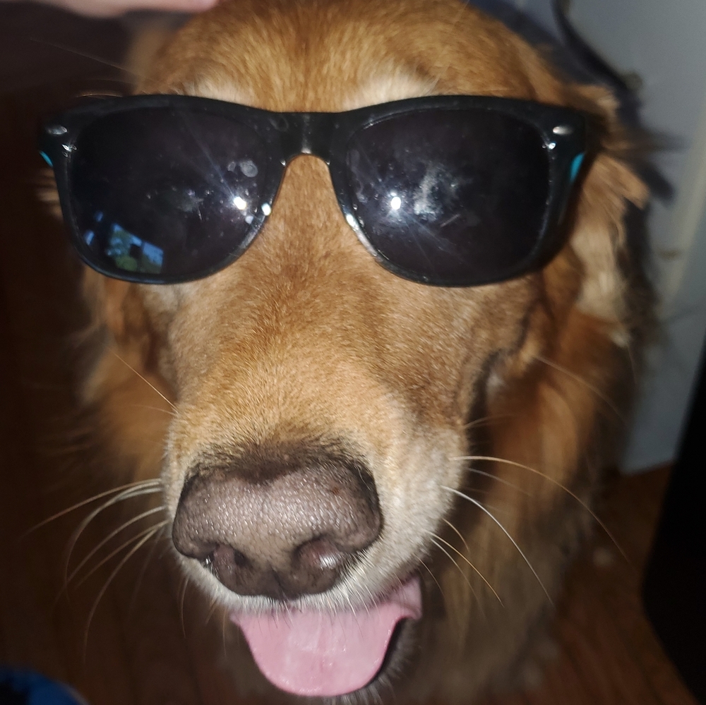 Meet your Posher, Megan